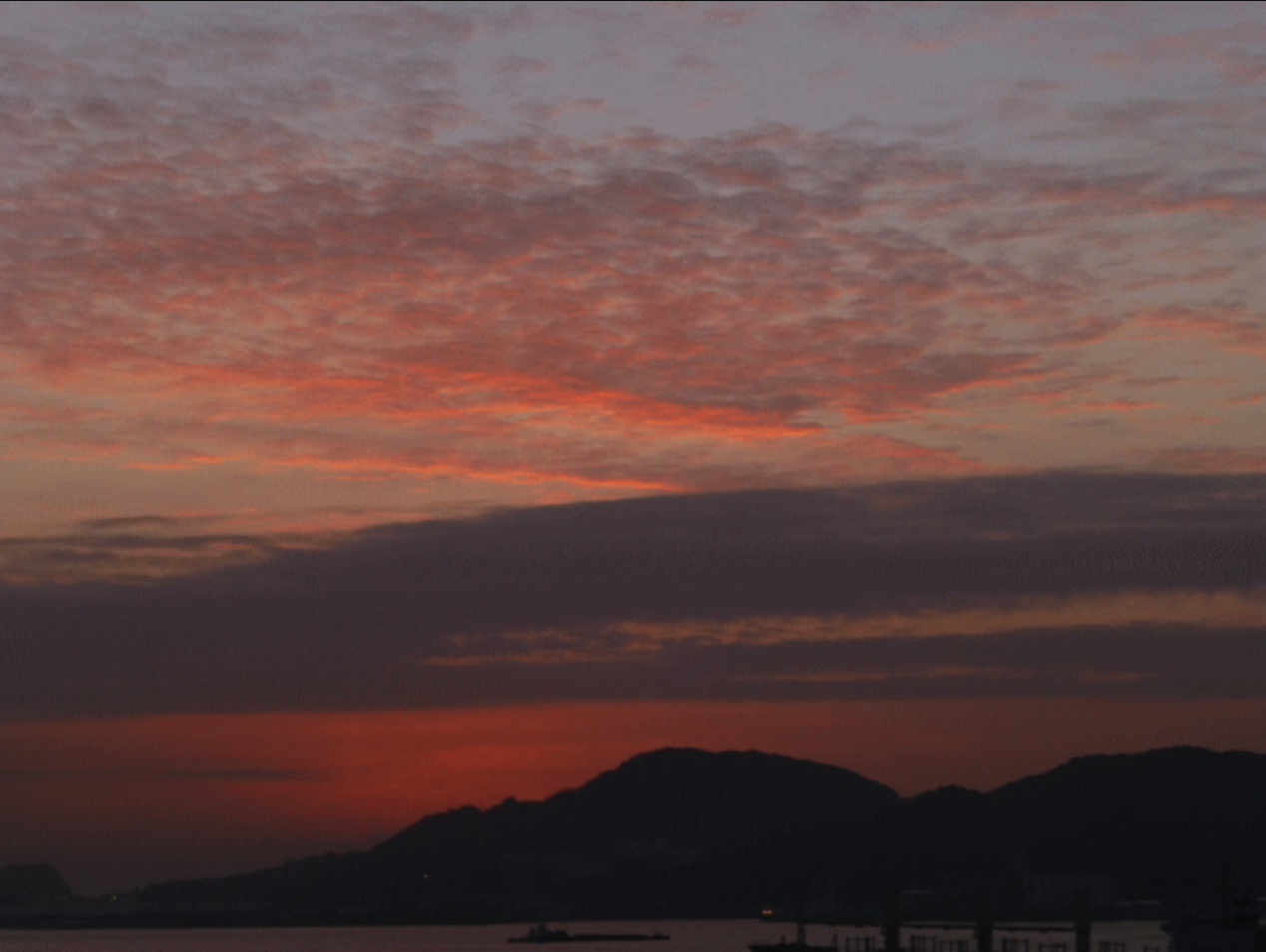 スクリーンショット 2025-10-17 17.28.05